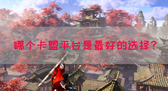 哪个卡盟平台是最好的选择？(图1)