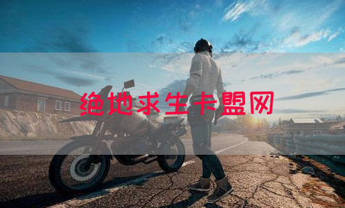 绝地求生卡盟网