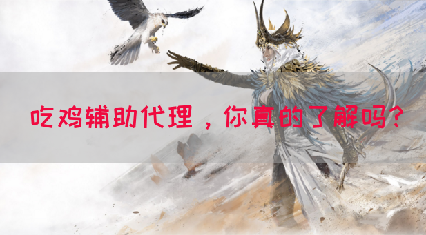 吃鸡辅助代理，你真的了解吗？
