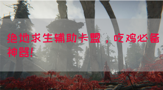 绝地求生辅助卡盟，吃鸡必备神器！(图1)