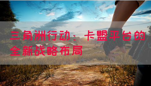 三角洲行动：卡盟平台的全新战略布局(图1)