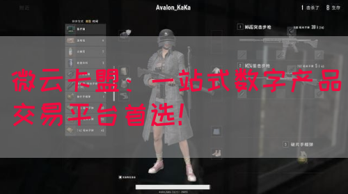 微云卡盟：一站式数字产品交易平台首选！