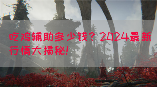 吃鸡辅助多少钱？2024最新行情大揭秘！