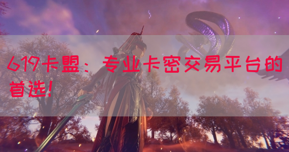 619卡盟：专业卡密交易平台的首选！(图1)