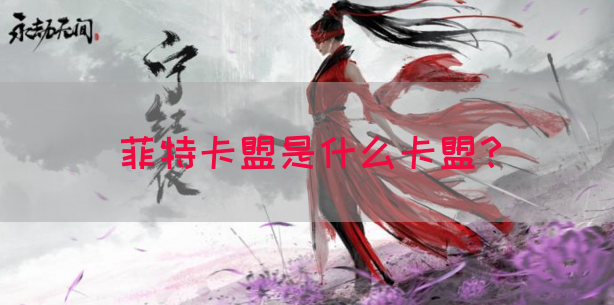 菲特卡盟是什么卡盟？