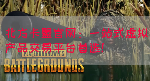 北方卡盟官网：一站式虚拟产品交易平台首选！