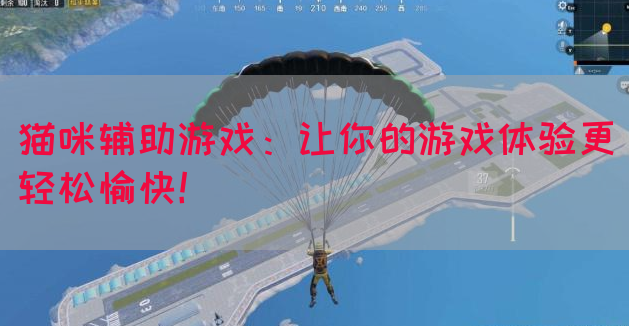 猫咪辅助游戏：让你的游戏体验更轻松愉快！
