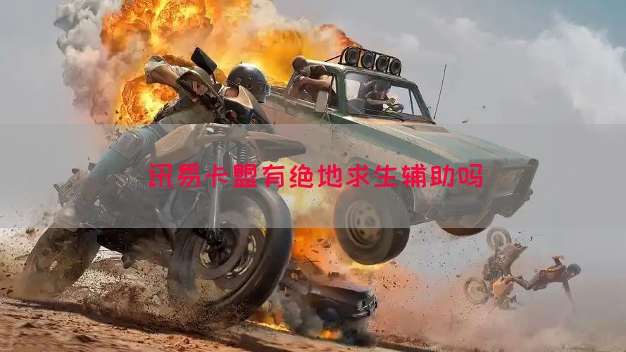讯易卡盟有绝地求生辅助吗