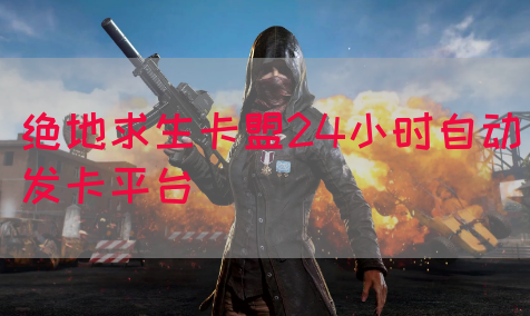 绝地求生卡盟24小时自动发卡平台(图1)