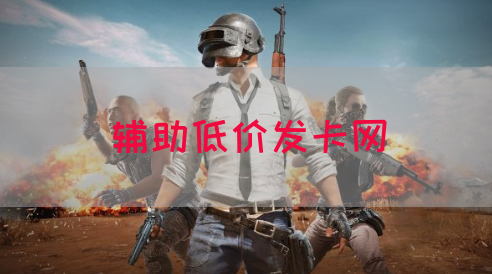 辅助低价发卡网(图1)