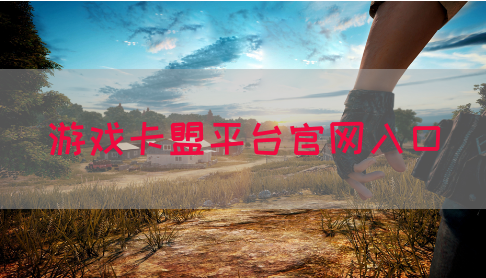 游戏卡盟平台官网入口