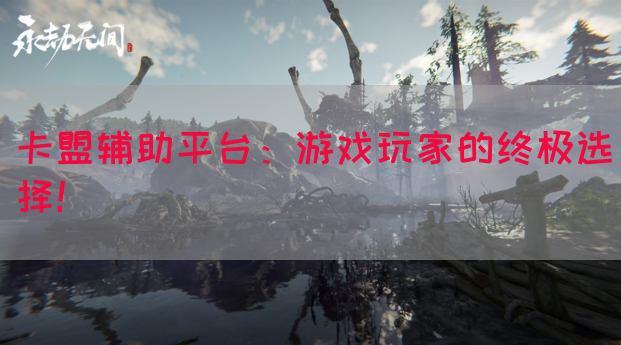 卡盟辅助平台：游戏玩家的终极选择！