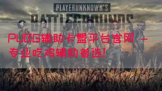 PUBG辅助卡盟平台官网 - 专业吃鸡辅助首选！(图1)