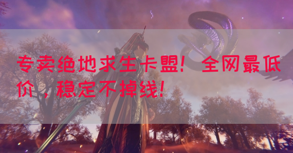 专卖绝地求生卡盟！全网最低价，稳定不掉线！(图1)
