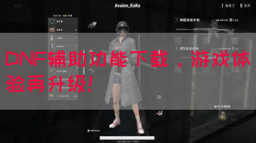 DNF辅助功能下载，游戏体验再升级！