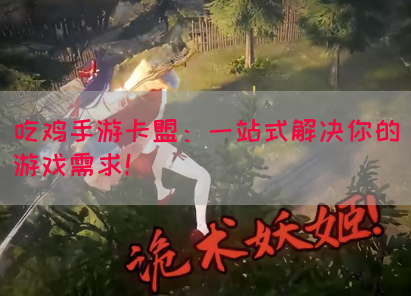 吃鸡手游卡盟：一站式解决你的游戏需求！