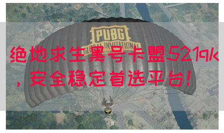 绝地求生黑号卡盟521qk，安全稳定首选平台！