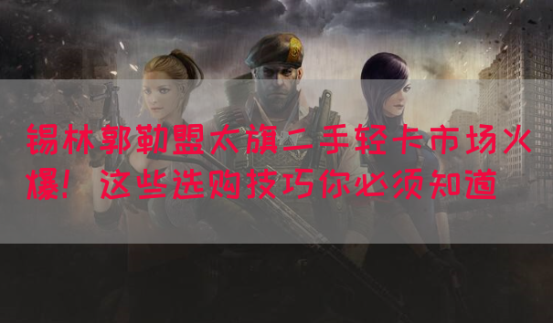 锡林郭勒盟太旗二手轻卡市场火爆！这些选购技巧你必须知道