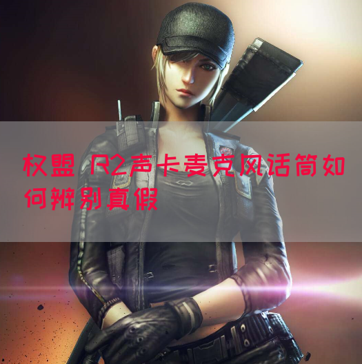 权盟 R2声卡麦克风话筒如何辨别真假(图1)