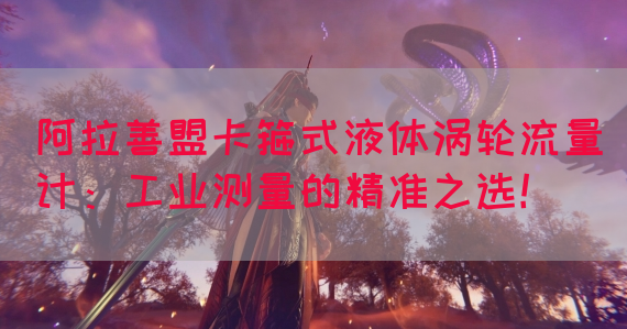 阿拉善盟卡箍式液体涡轮流量计：工业测量的精准之选！