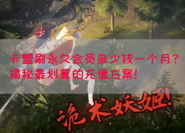 卡盟刷永久会员多少钱一个月？揭秘最划算的充值方案！