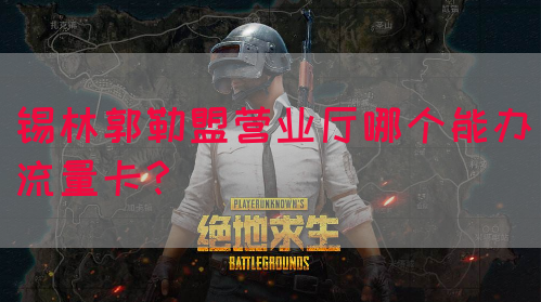 锡林郭勒盟营业厅哪个能办流量卡？