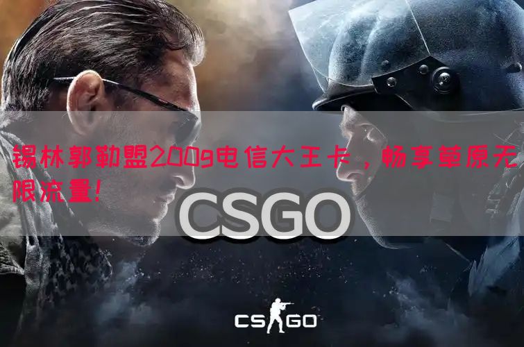 锡林郭勒盟200g电信大王卡，畅享草原无限流量！