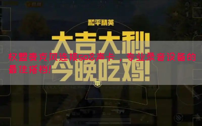 权盟麦克风连接so8声卡，专业录音设备的最佳搭档！(图1)
