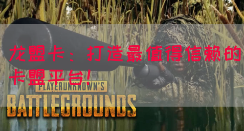 龙盟卡:打造最值得信赖的卡盟平台!(图1) 龙盟卡:打造最值得信赖的卡盟平台!(图1)