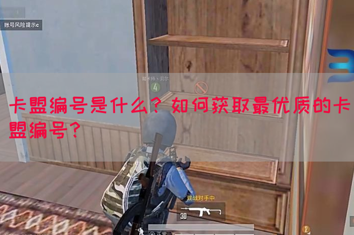 卡盟编号是什么？如何获取最优质的卡盟编号？