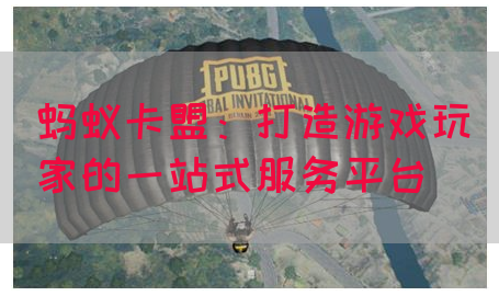蚂蚁卡盟：打造游戏玩家的一站式服务平台