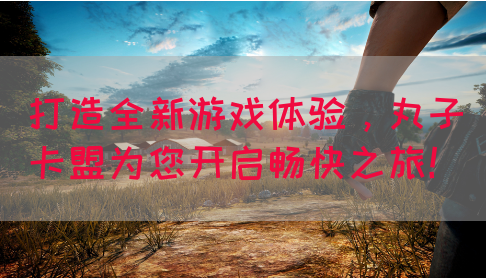 打造全新游戏体验，丸子卡盟为您开启畅快之旅！(图1)