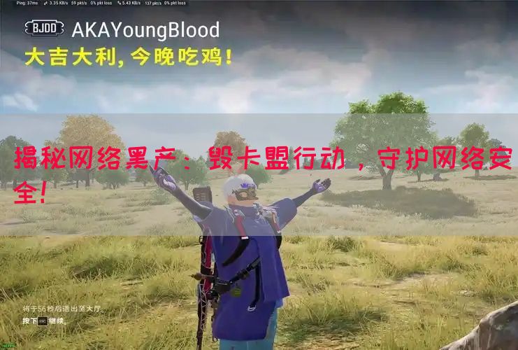 揭秘网络黑产：毁卡盟行动，守护网络安全！(图1)
