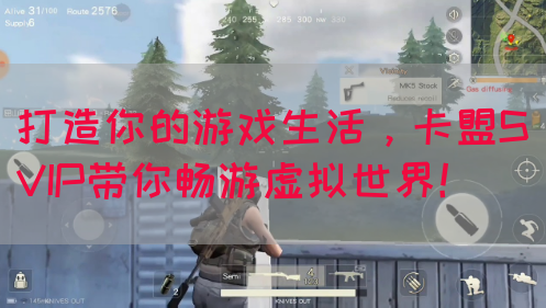 打造你的游戏生活，卡盟SVIP带你畅游虚拟世界！(图1)