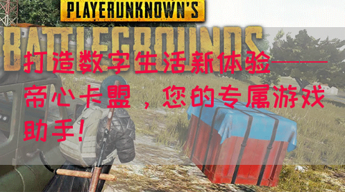 打造数字生活新体验——帝心卡盟，您的专属游戏助手！(图1)