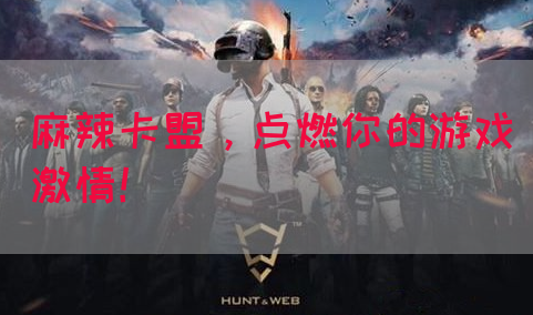 麻辣卡盟，点燃你的游戏激情！