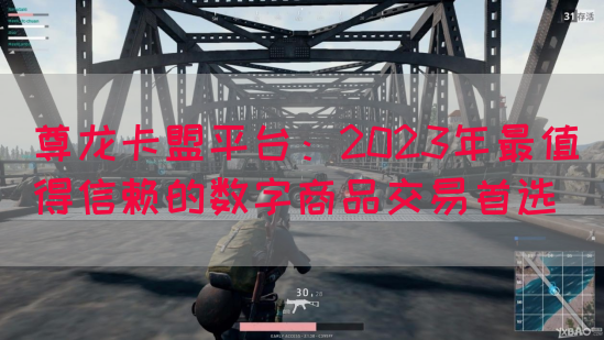 尊龙卡盟平台：2023年最值得信赖的数字商品交易首选