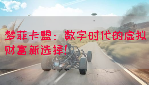 梦菲卡盟：数字时代的虚拟财富新选择！