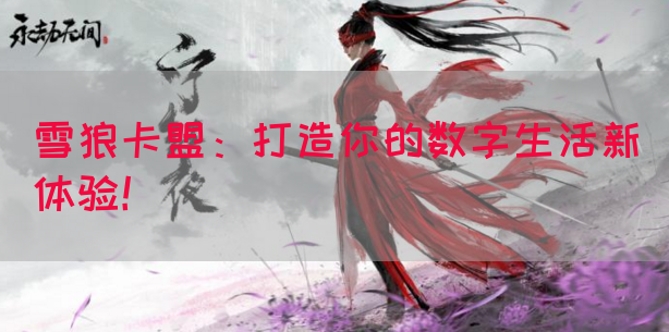 雪狼卡盟：打造你的数字生活新体验！