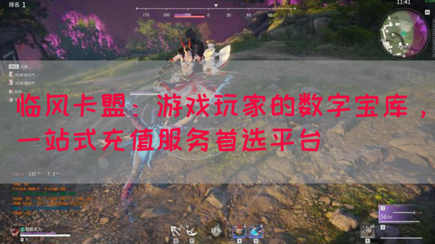 临风卡盟：游戏玩家的数字宝库，一站式充值服务首选平台