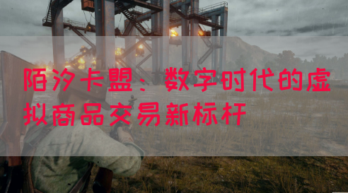 陌汐卡盟：数字时代的虚拟商品交易新标杆