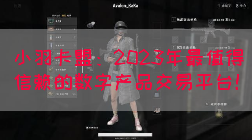 小羽卡盟：2023年最值得信赖的数字产品交易平台！