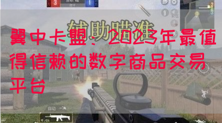 翼中卡盟：2023年最值得信赖的数字商品交易平台(图1)
