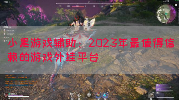 小黑游戏辅助：2023年最值得信赖的游戏外挂平台(图1)