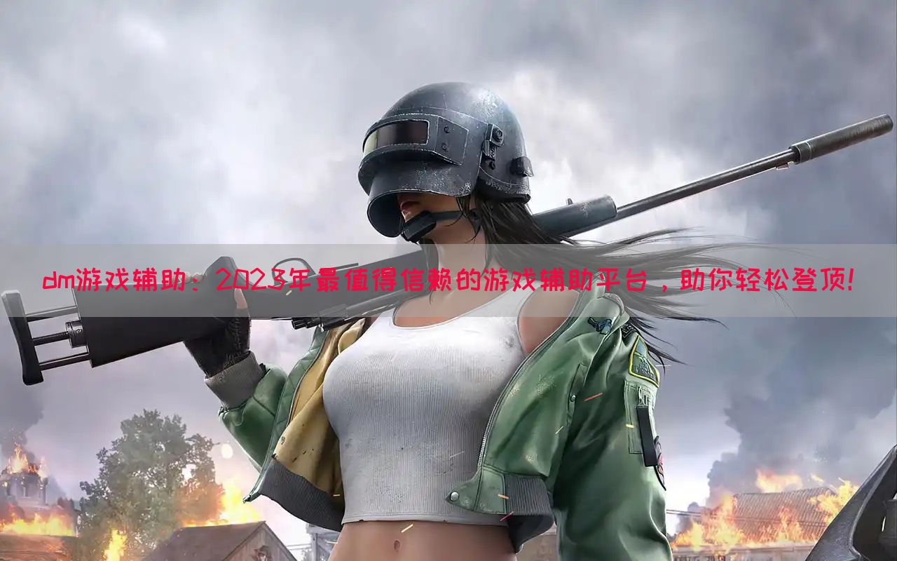 dm游戏辅助：2023年最值得信赖的游戏辅助平台，助你轻松登顶！(图1)