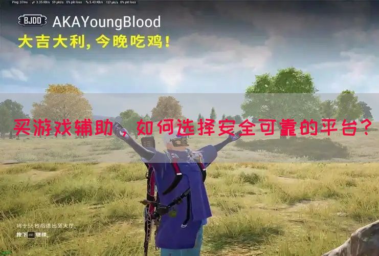 买游戏辅助，如何选择安全可靠的平台？(图1)