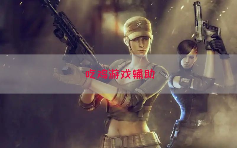 吃鸡游戏辅助(图1)