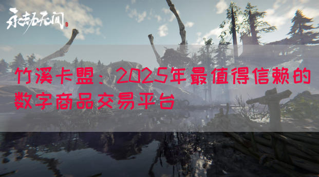 竹溪卡盟：2025年最值得信赖的数字商品交易平台(图1)
